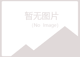 河池若南工程有限公司